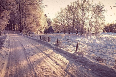 Snow Falling Wallpapers HD Resolution   Uncalke.com