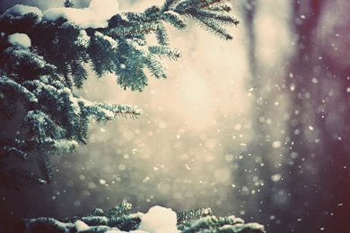 Snow Falling Wallpapers Full HD Uncalke.com