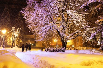 Heavy Snowfall On A Winter Night