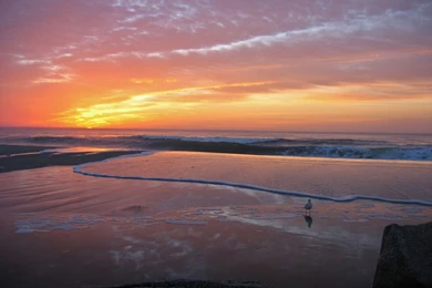 Top North Myrtle Beach Wallpapers