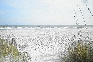 Traveling & Finding A Place In Myrtle Beach! (SC) “DAY 260” – 3/21 ...