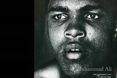 Muhammad Ali 02 Wallpapers   Boxing   Sport   Wallpapers Collection
