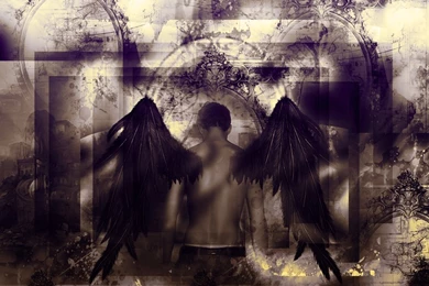 Fallen Angel Wallpapers   Wallpapers Zone