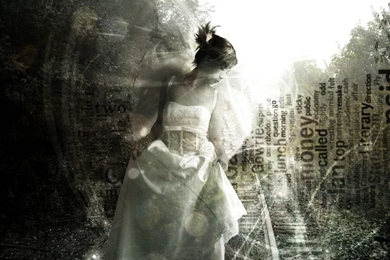 Fallen Angel Backgrounds   Wallpapers Cave