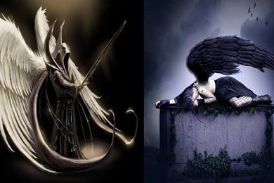 The Fallen Angel Wallpapers   MixHD Wallpapers