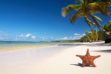 Top Beach Screensavers And Wallpapers Wallpapers