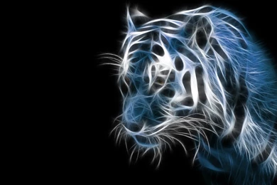 Best 3d Wallpapers For Desktop