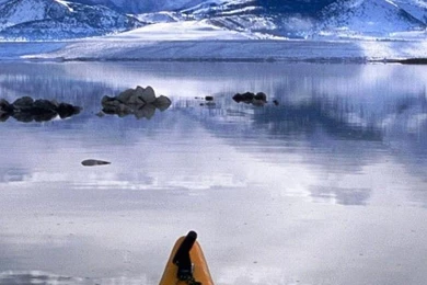 Wallpapers Lg G3 1440 2560 454   1440 X 2560   Lg G3 1440 2560 Quad ...