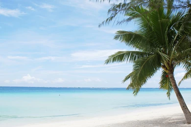 Beach, Widescreen, Ocean, Wallpaper, Sailboat (