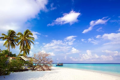 Sky Wallpapers Widescreen