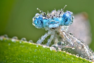 New Wallpapers Collection (42+)