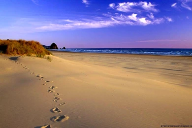 Landscape Beach Images Wide Wallpapers