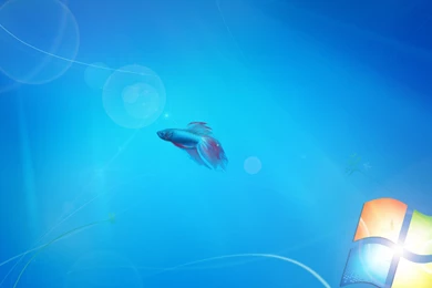 Blue Mountains Cascade Cascade Jungle Wallpapers Forwallpapercom ...