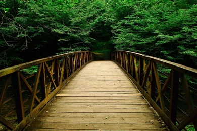 Beautiful Bridge In Green Nature Wallpapers Widescreen Download ...