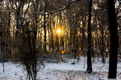 Beautiful Nature HD Desktop Wallpapers : Widescreen : High ...