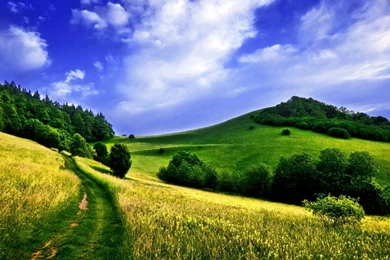 Nature Wallpapers Widescreen Beautiful Pink Landscape Cool ...