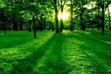 Beautiful Nature Wallpapers Hd