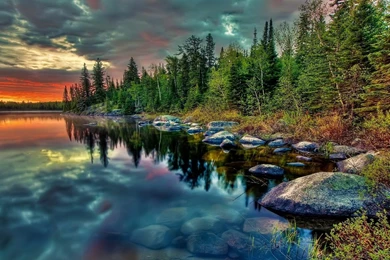 Butterfly Wallpapers Widescreen Resolution 422   Walluno