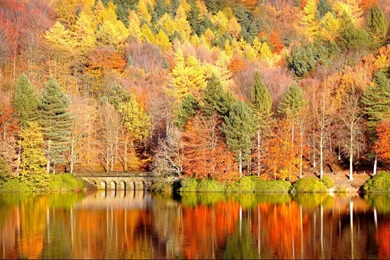 Nice Autumn Wallpapers Desktop Hd 1366x768 Hd Wallpapers Widescreen ...