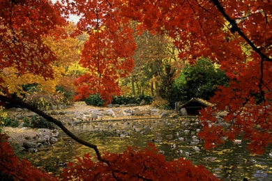 Fall Themed Wallpapers Desktop – 1920×1080 High Definition ...