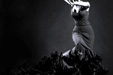 FLAMENCO WALLPAPER   (