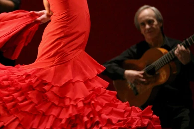 Flamenco Wallpapers   Wallpapers Cave