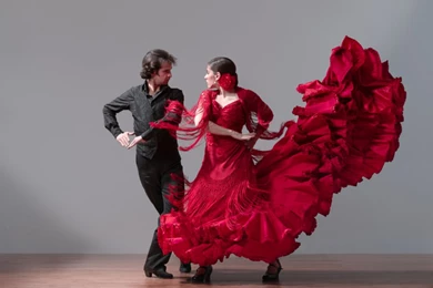 Flamenco   Flamenco Wallpapers (29464383)   Fanpop