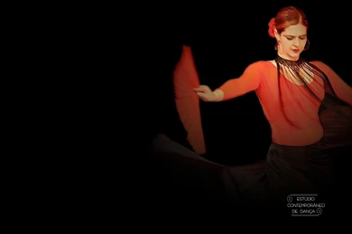 Flamenco Dance Wallpapers   Danasrhp.top