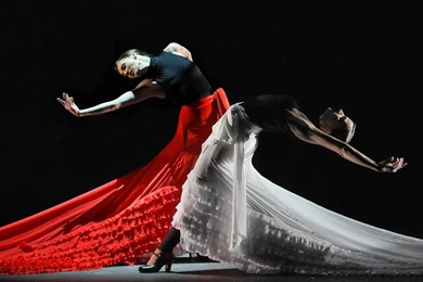 Flamenco Hoy 3D   SpectiCast