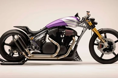 Custom Honda Fury Bagger   Image