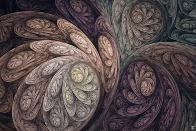 Flamenco By ClaireJones On DeviantArt