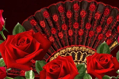 Spanish Dance 1233060 Wallpapers   (