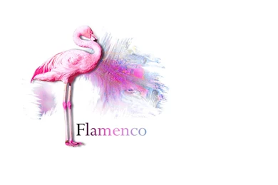 Free Widescreen Wallpaper, Flamenco   MaK