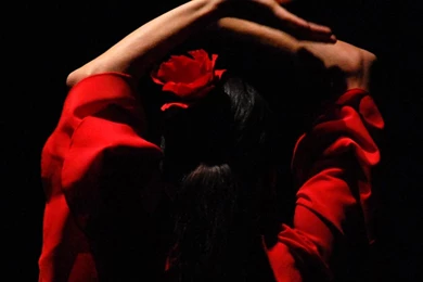 Flamenco By Aniram67 On DeviantArt