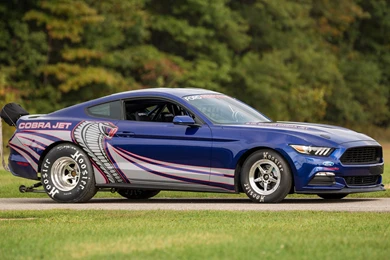 Ford Mustang Cobra Jet Drag Car (2016) Wallpapers And HD Images