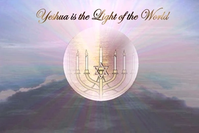 Comfort Zone, Desktop Wallpapers That Is Comforting