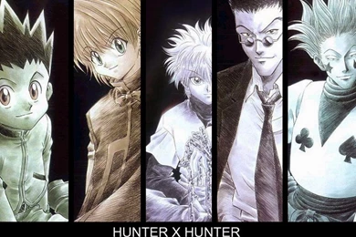 Anapic Hunter X Hunter