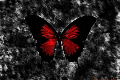 Gothic Wallpapers Collection (39+)