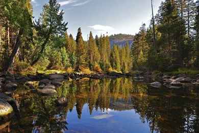 Desktop Wallpapers ›› Free Wallpapers For My Desktop