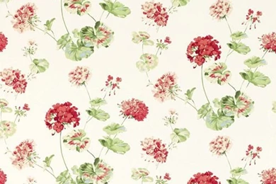 Wallpapers Laura Ashley Usa