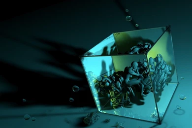 Wallpapers Sacred Geometry Fond D Cran Hd Metatron Cube Avec Une ...