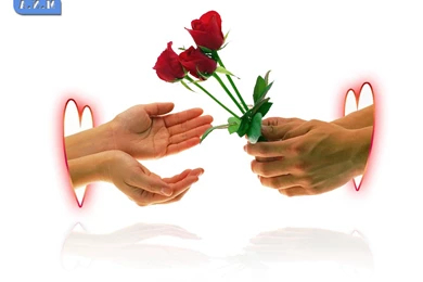 Cute Heart Backgrounds