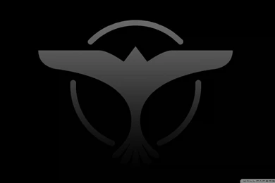 Dj Tiesto Wallpapers 2015 Wallpapers Cave