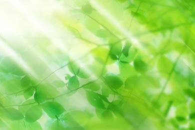 Wallpapers Green My Collection Blue And 1024x768