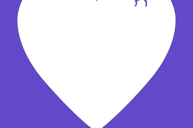 Vs PINK On Pinterest