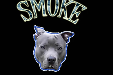 Pitbull Dog Backgrounds