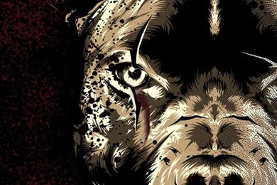 The Misunderstood Dog On Behance