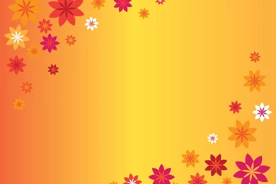 Top Wallpapers Orange Flowers Wallpapers Wallpapers