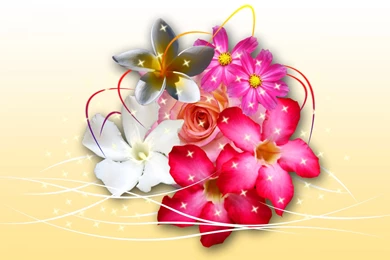 Onsilop: Backgrounds Wallpapers Flowers