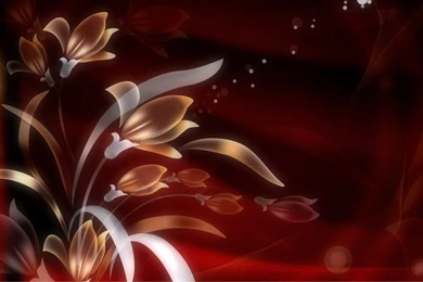 1366x768 FLowers Art Design Wallpapers